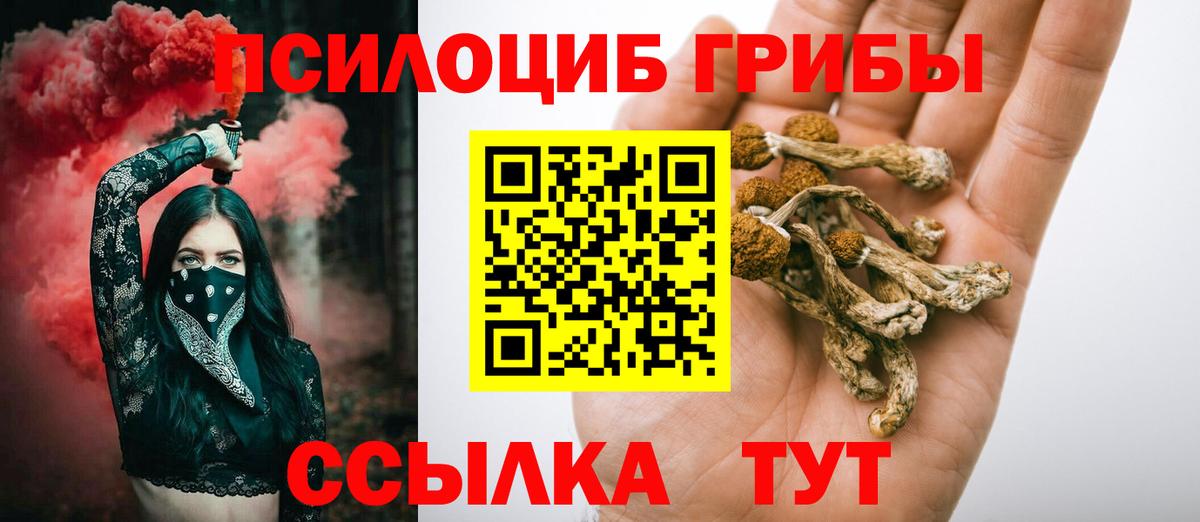 закладки  Вход с VPN  Знаменск  Галлюциногенные грибы мухоморы 